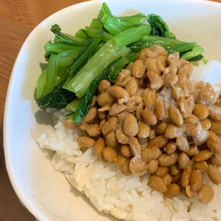 小松菜納豆丼